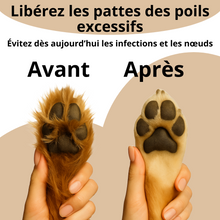 Charger l'image dans la galerie, avant apres pattes chien