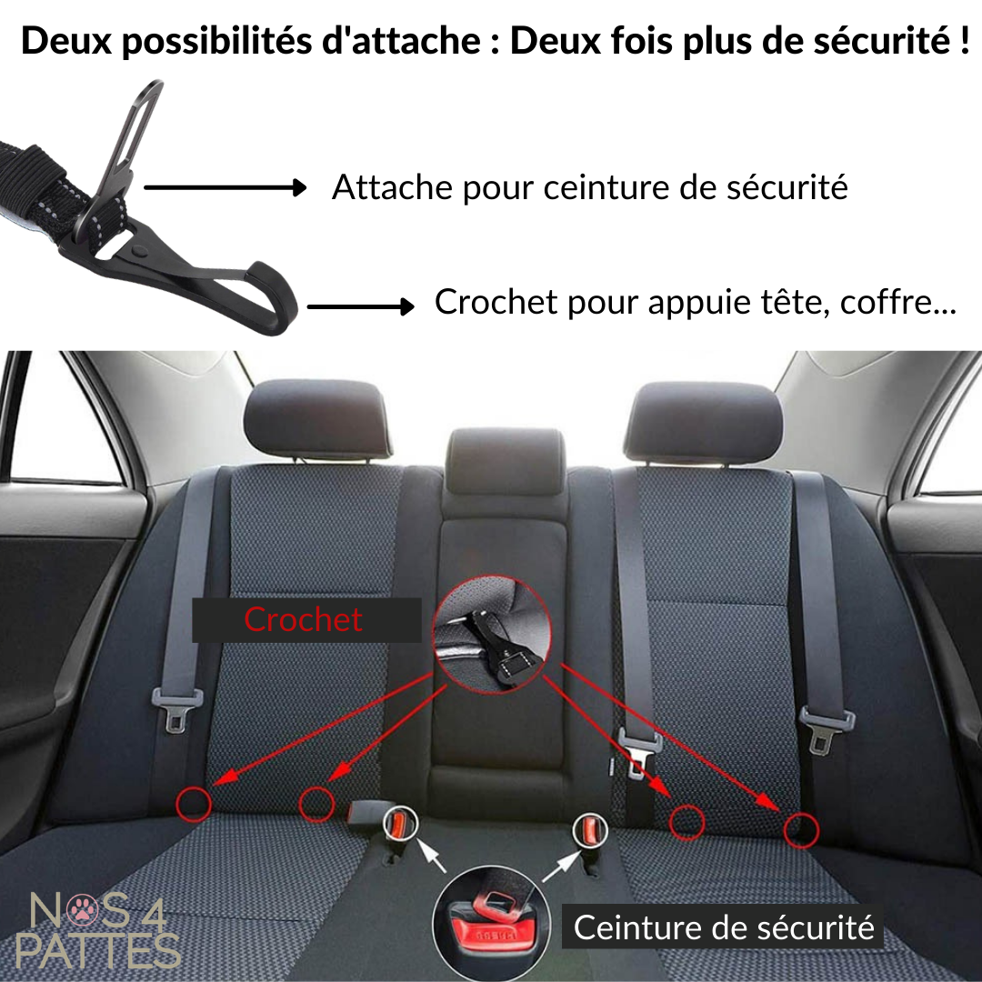 Attache de Sécurité Direct To Seatbelt Bleu pour chien en voiture