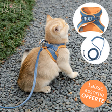 Charger l'image dans la galerie, harnais et laisse pour chat