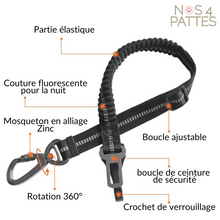 Charger l'image dans la galerie, détails caractéristiques ceinture de sécurité chat chien nos 4 pattes