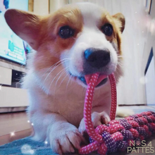 Charger l'image dans la galerie, jouet en corde noeud à mâcher pour chien nos 4 pattes