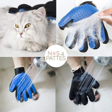 Charger l'image dans la galerie, gant de toilettage chat chien nos 4 pattes