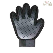 Charger l'image dans la galerie, gant de toilettage chat chien nos 4 pattes couleur noir