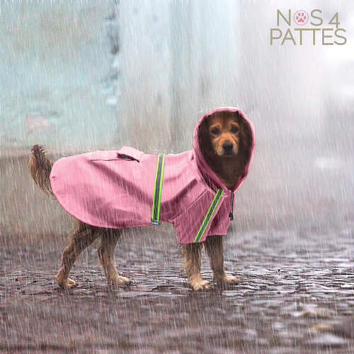 veste de pluie imperméable chien nos 4 pattes