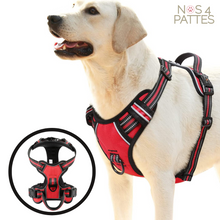 Charger l'image dans la galerie, harnais chien