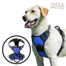 Charger l'image dans la galerie, harnais chien
