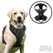 Charger l'image dans la galerie, harnais chien