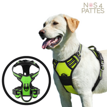 Charger l'image dans la galerie, harnais chien