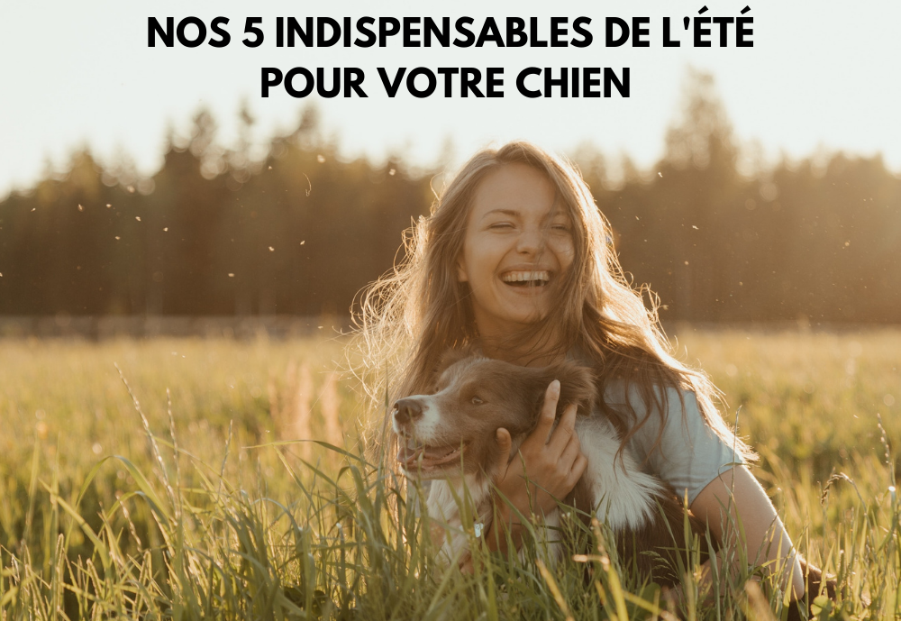 Les 5 indispensables de l'été pour votre chien Image