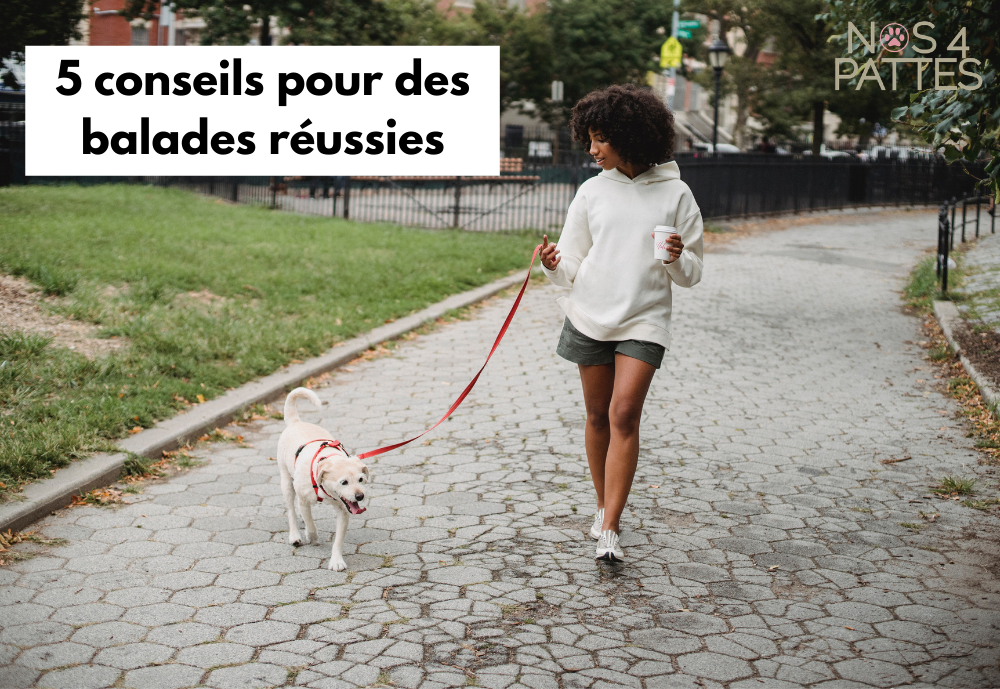 Nos 5 conseils pour des balades réussies Image