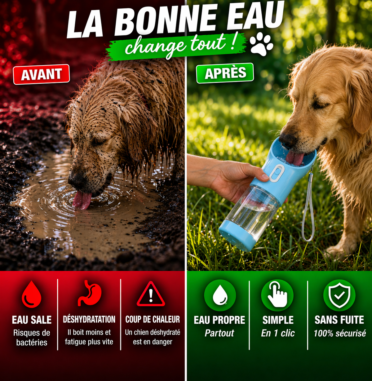 avant apres