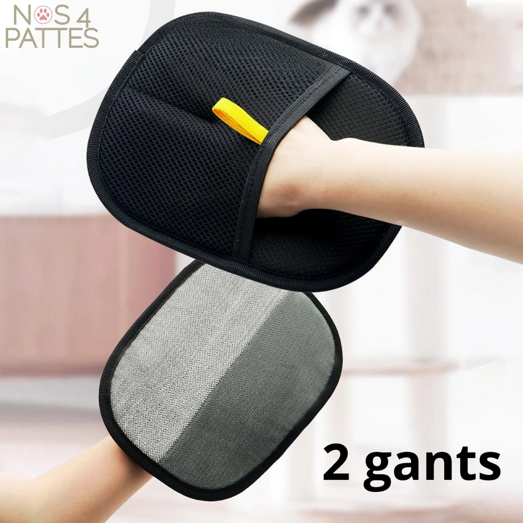 Gant anti-poils magique réutilisable pour chien & chat