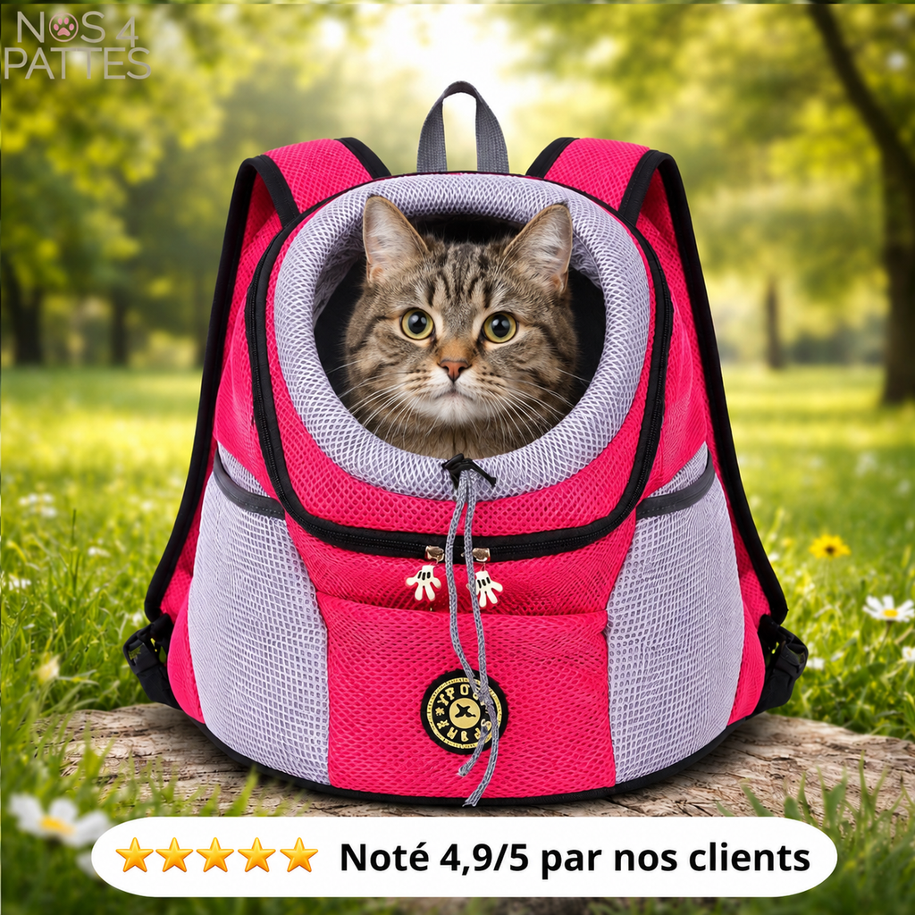 Sac à dos transport chat respirant – Confort et sécurité