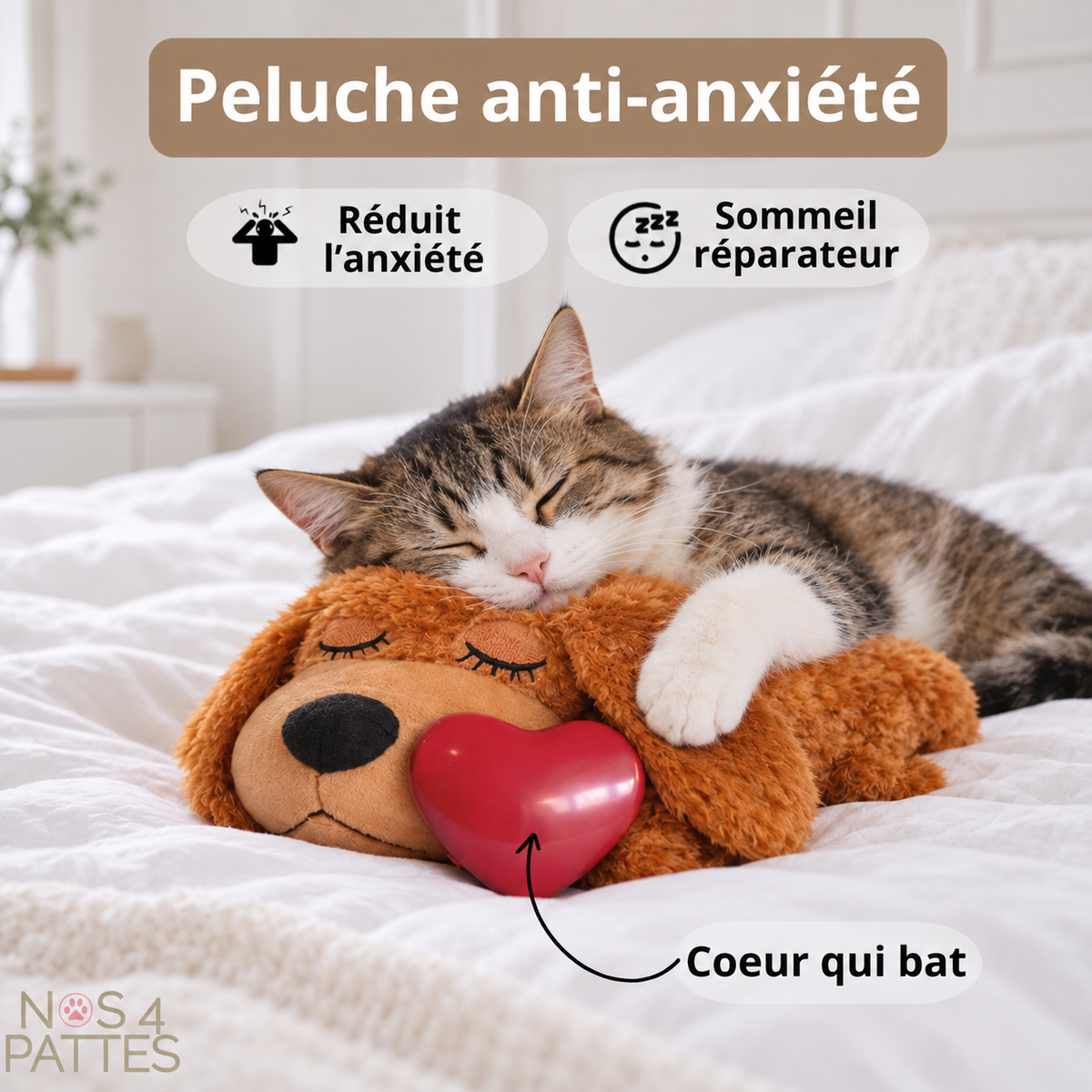 peluche chat