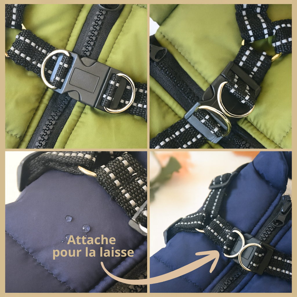 attache pour laisse du manteau