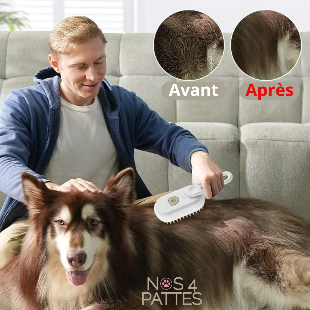 brosse chien