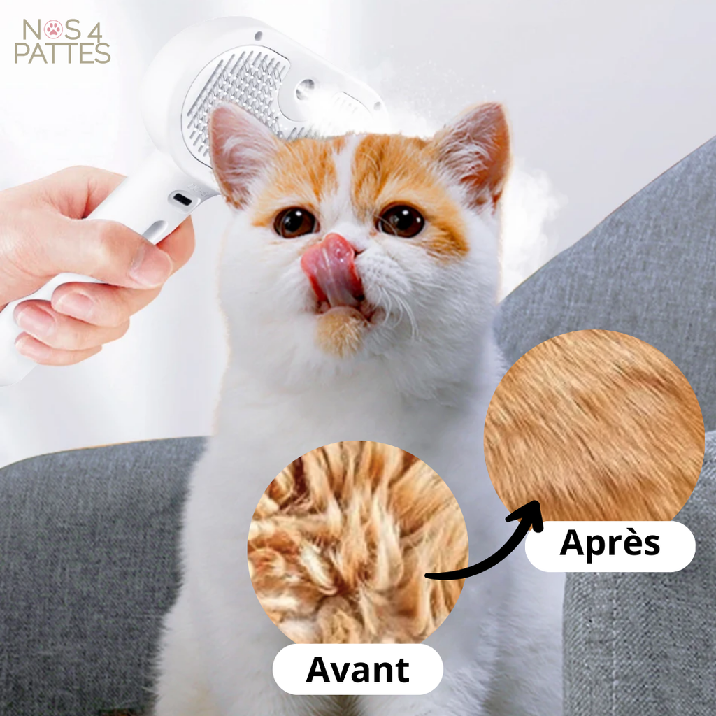 brosse chat chien à vapeur 
