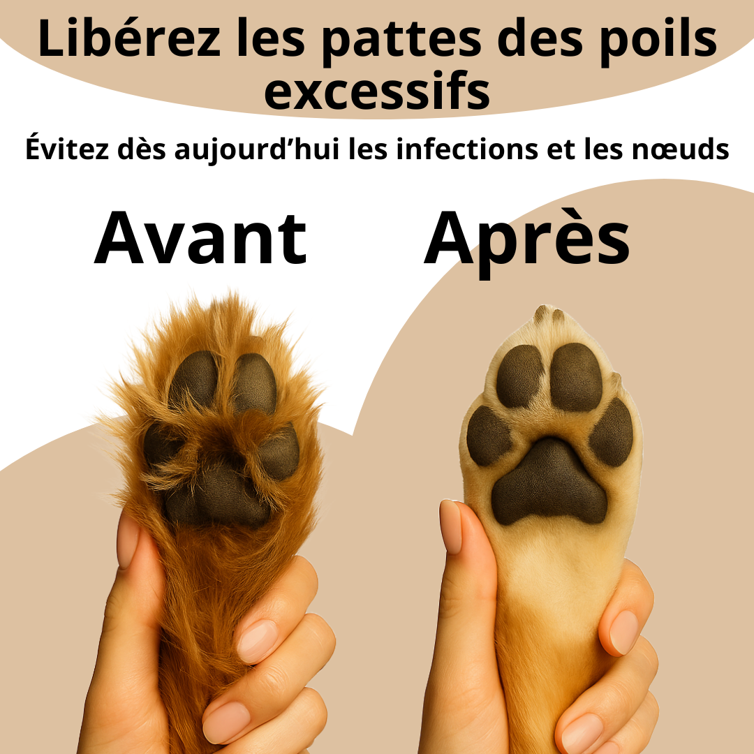 avant apres pattes chien