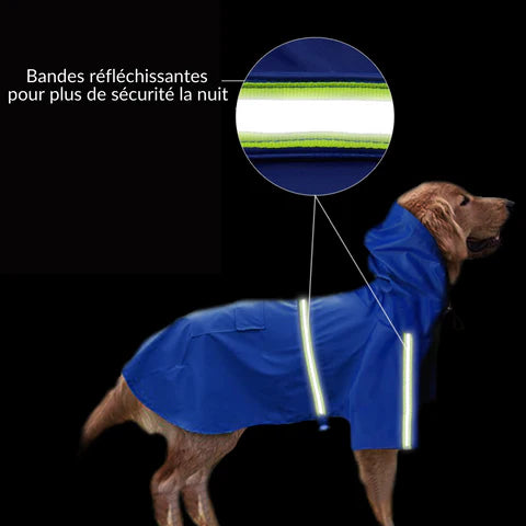 bandes