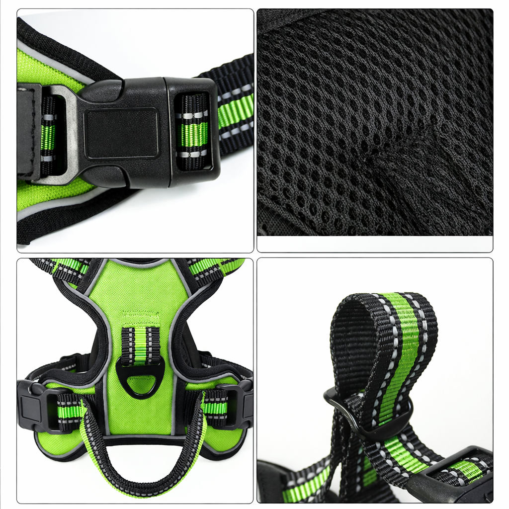 details harnais