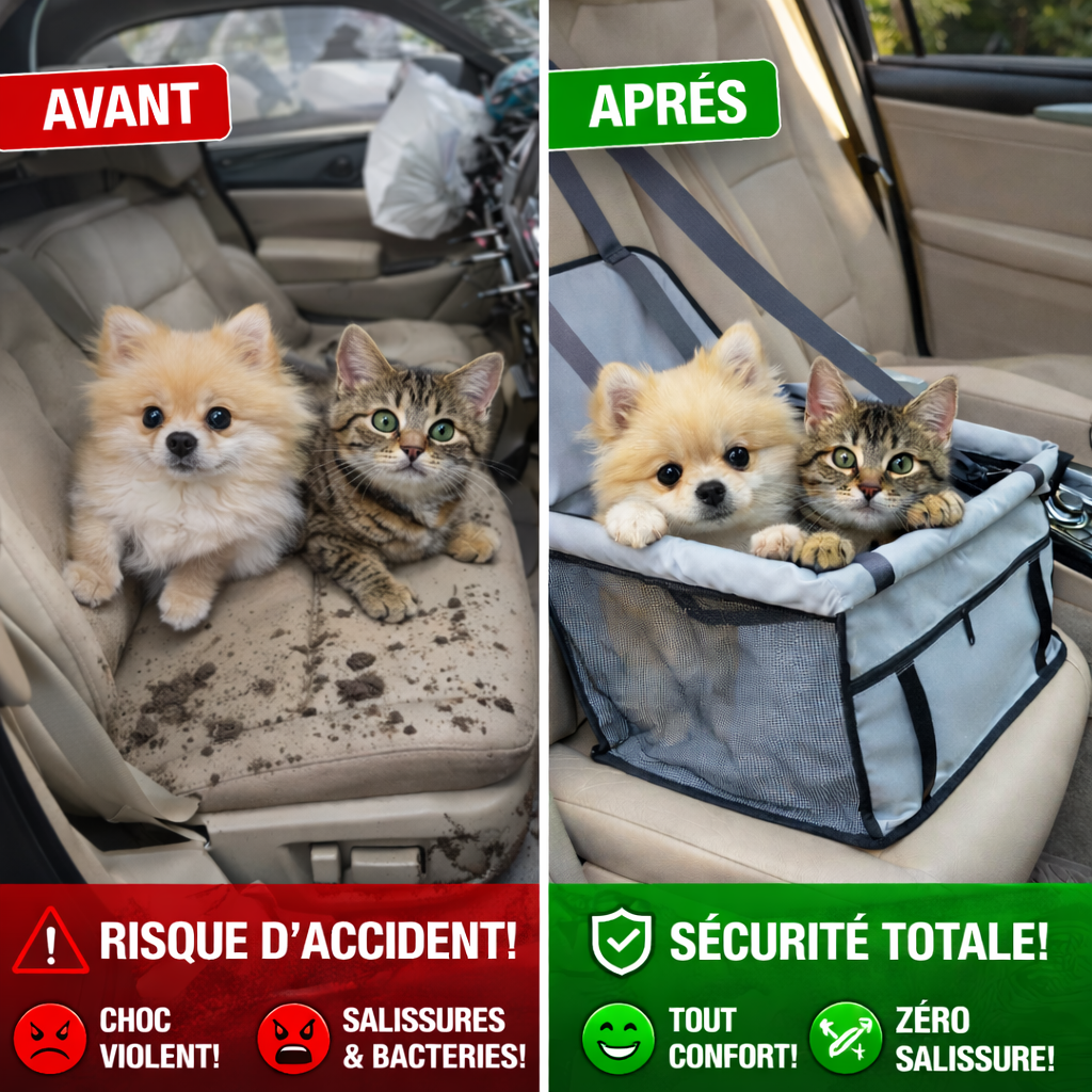 siege auto