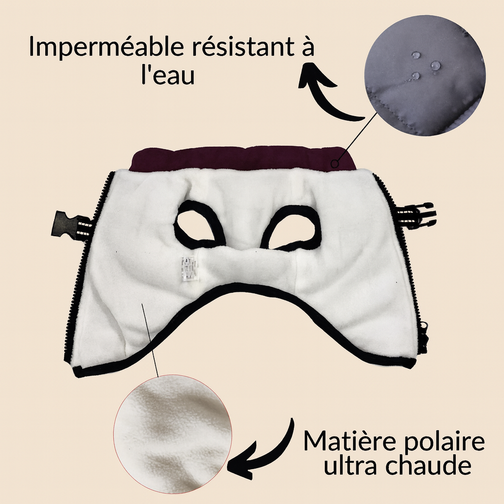 details manteau chien