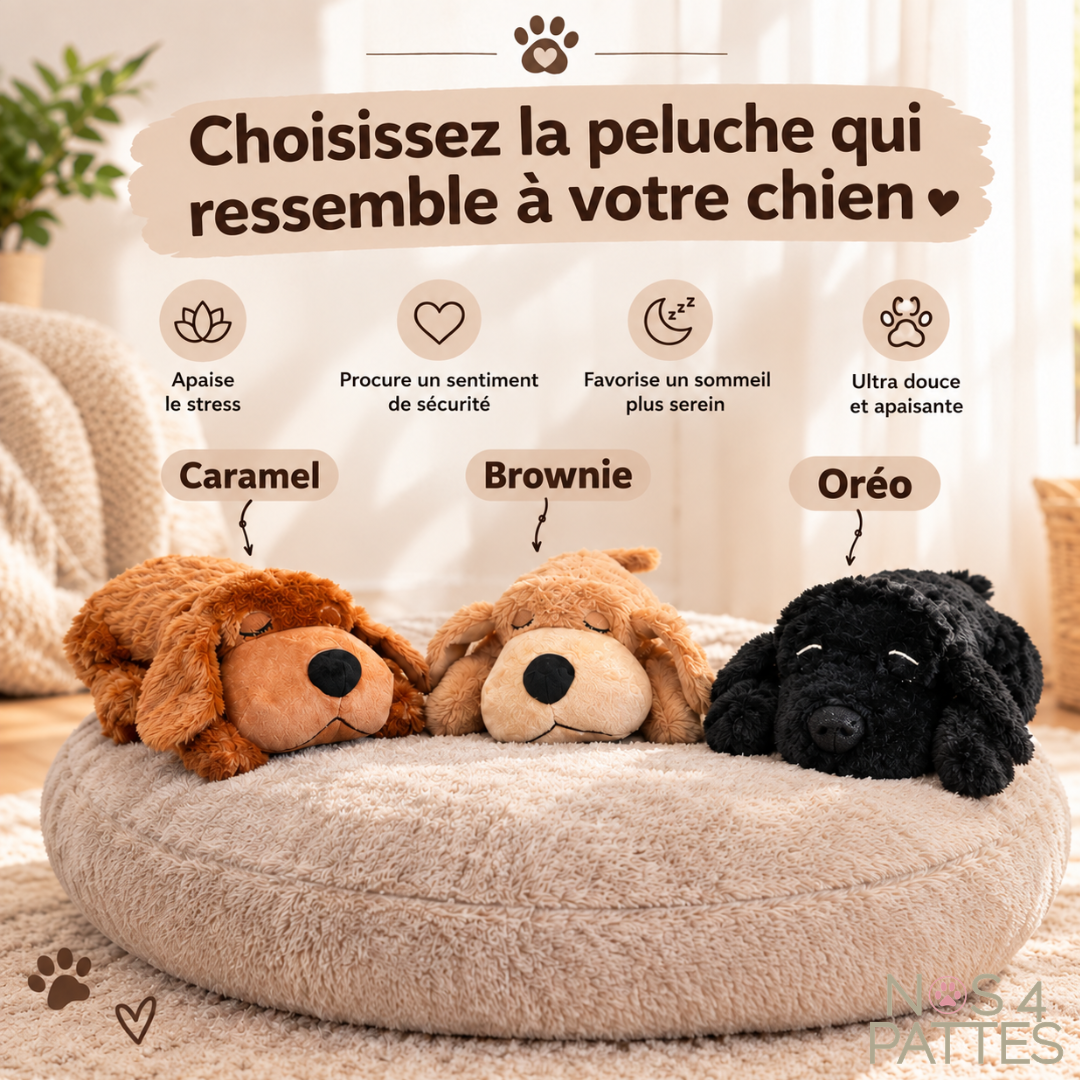 couleurs peluche nos 4 pattes