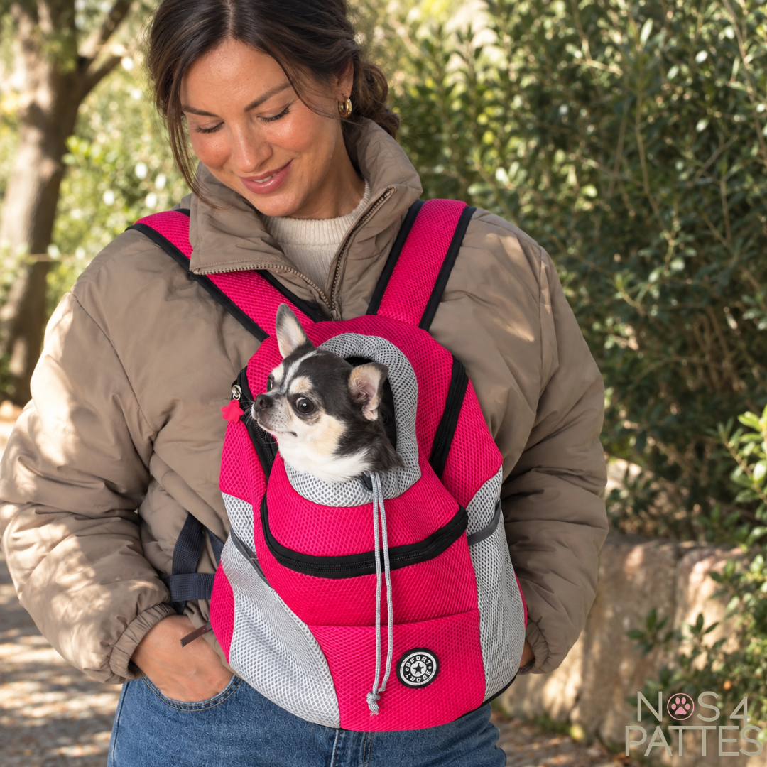 Sac à dos transport chien respirant – Confort et sécurité