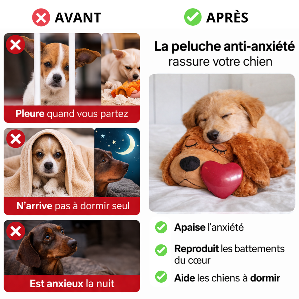 avant apres 