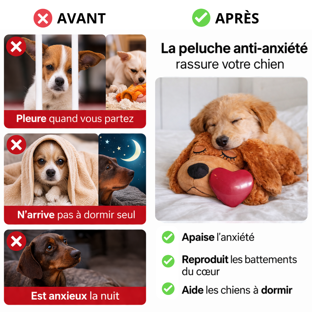 avant apres 