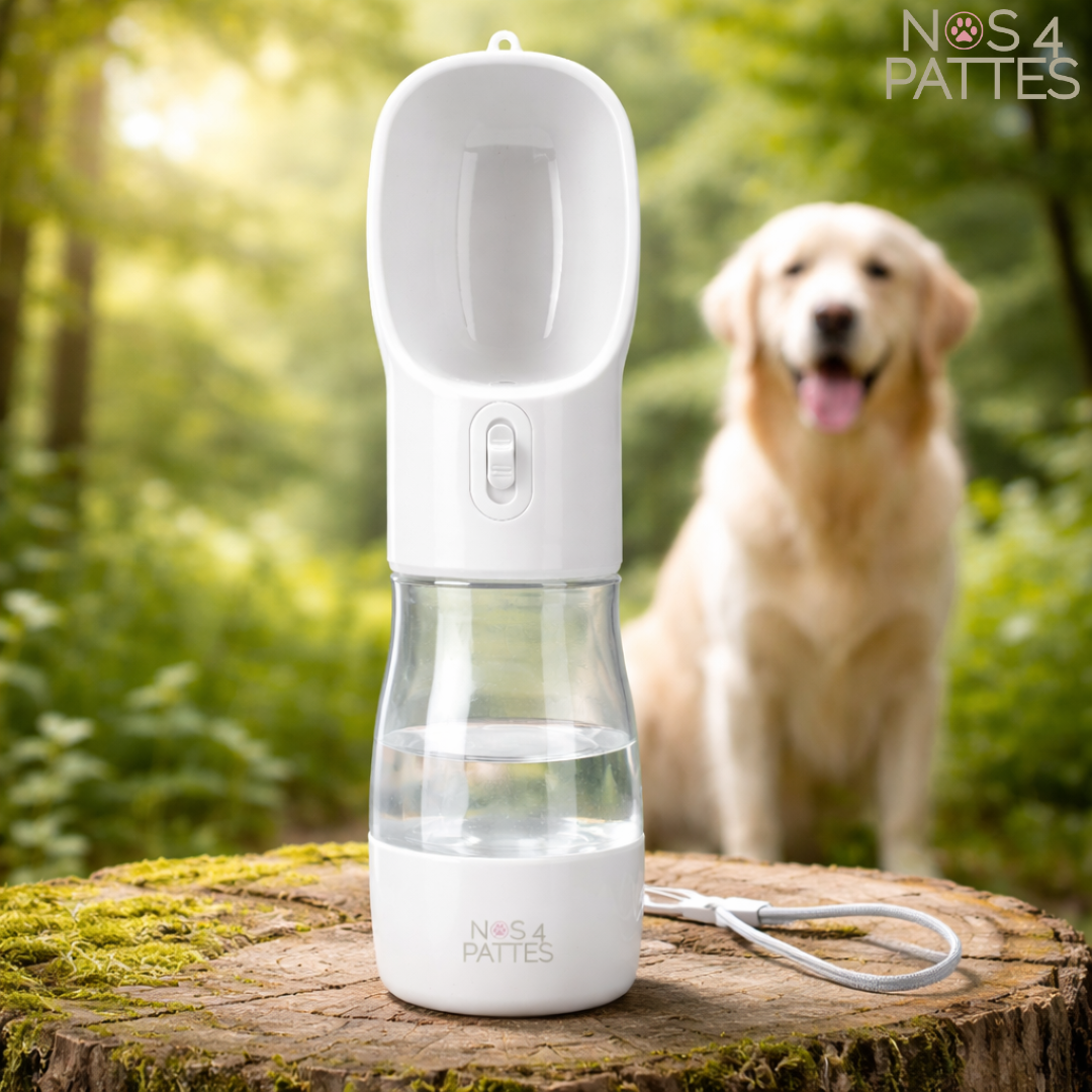 Gourde 2-en-1 pour chien – eau propre & friandises en déplacement
