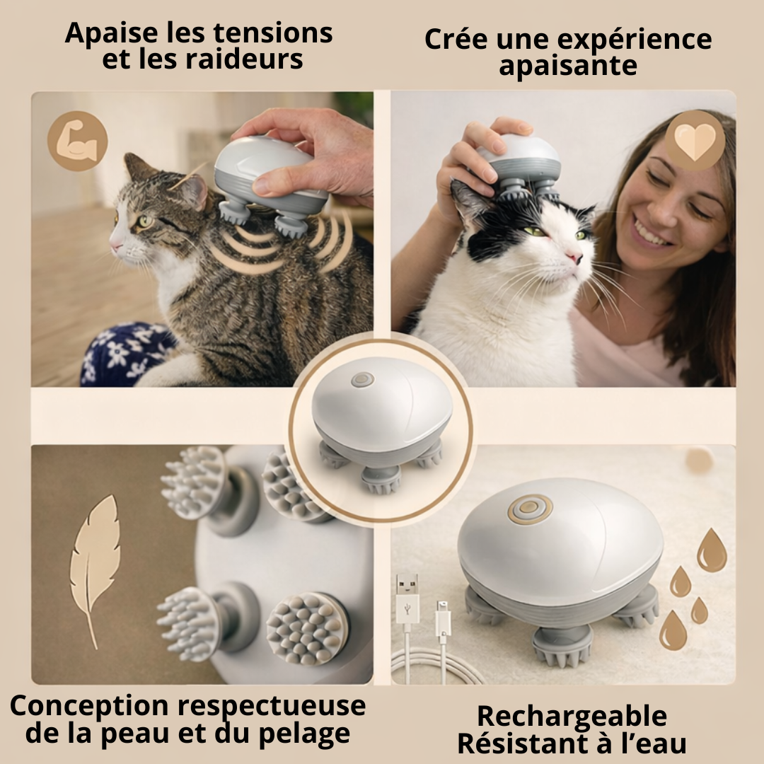 masseur nos 4 pattes chien et chat