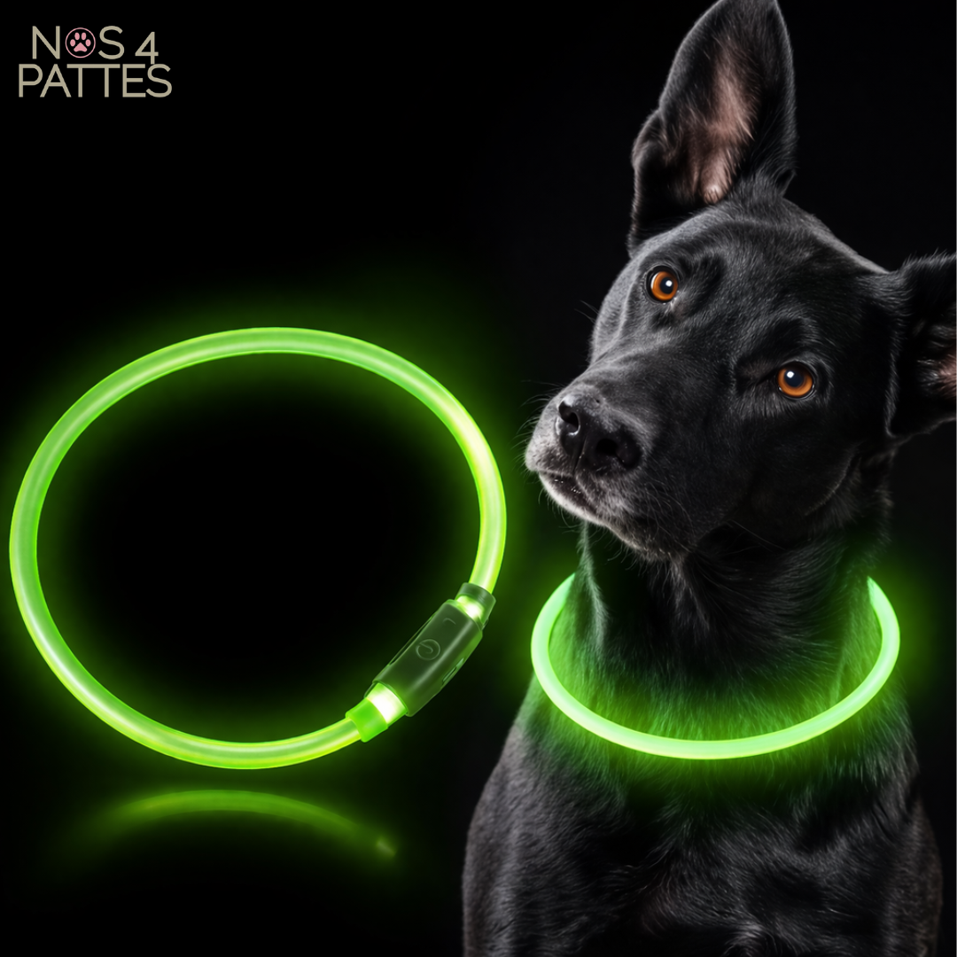 collier lumineux