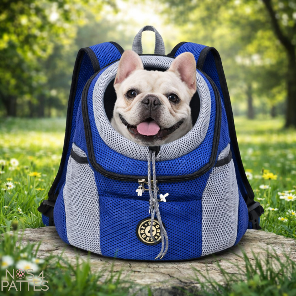 sac bleu