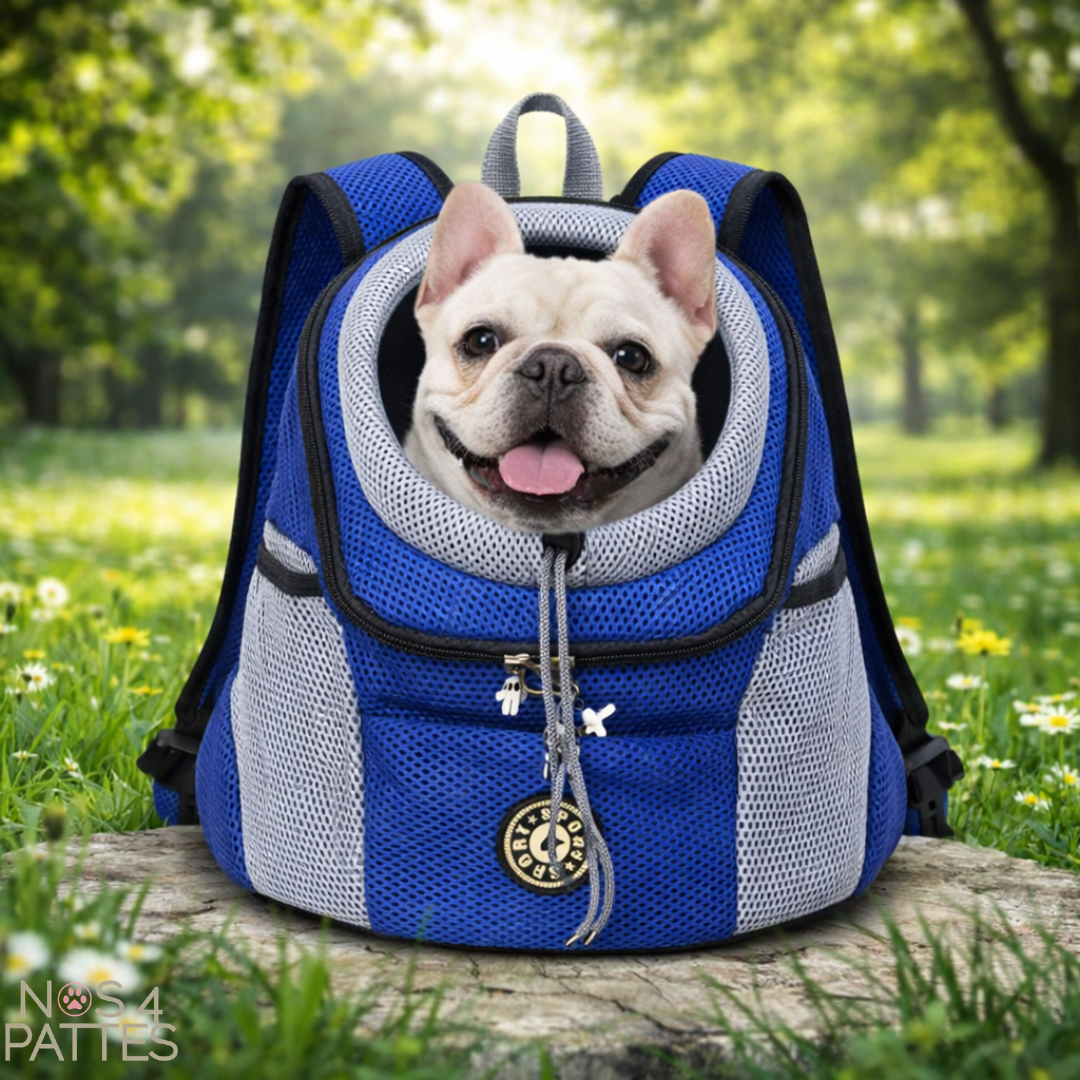 sac bleu
