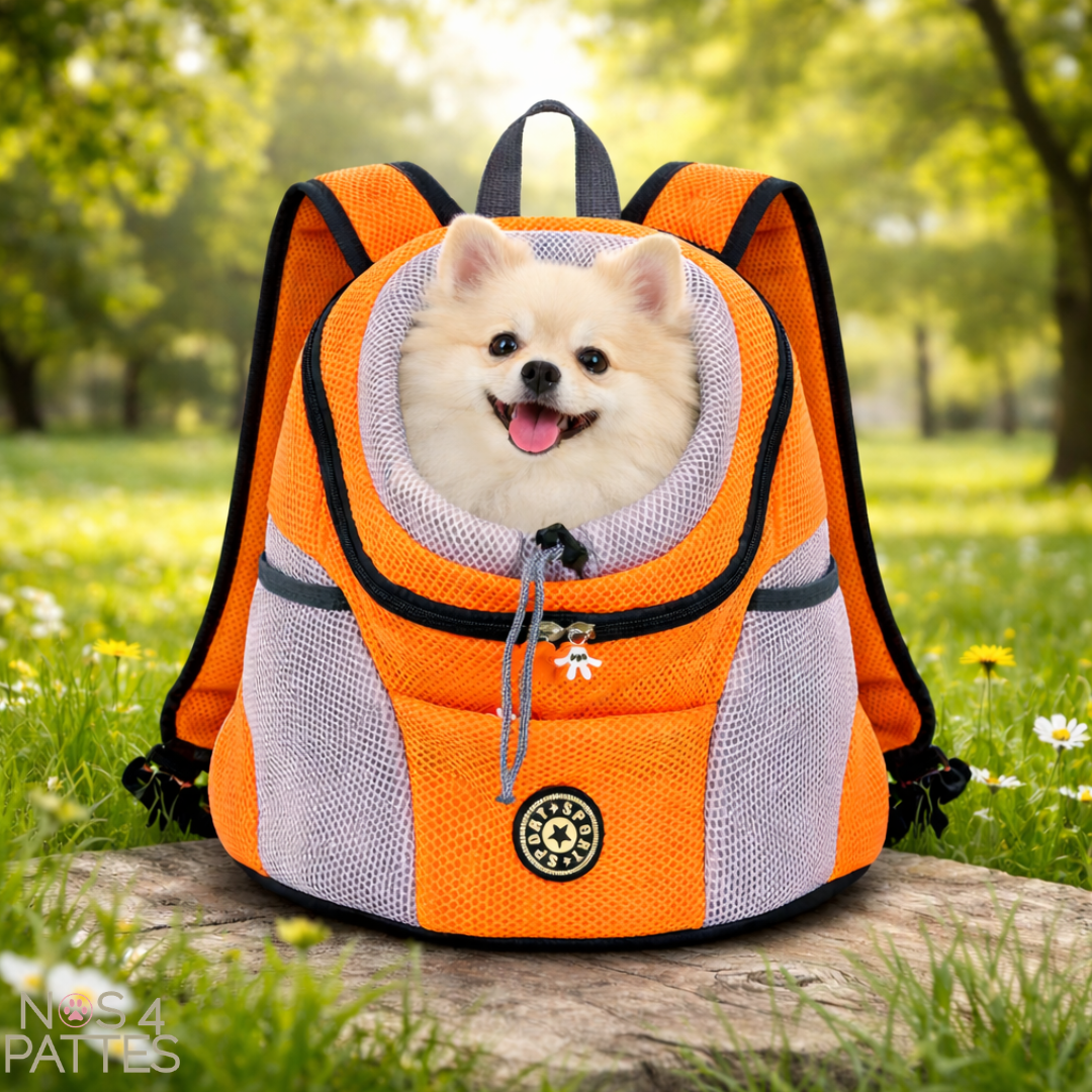 sac orange