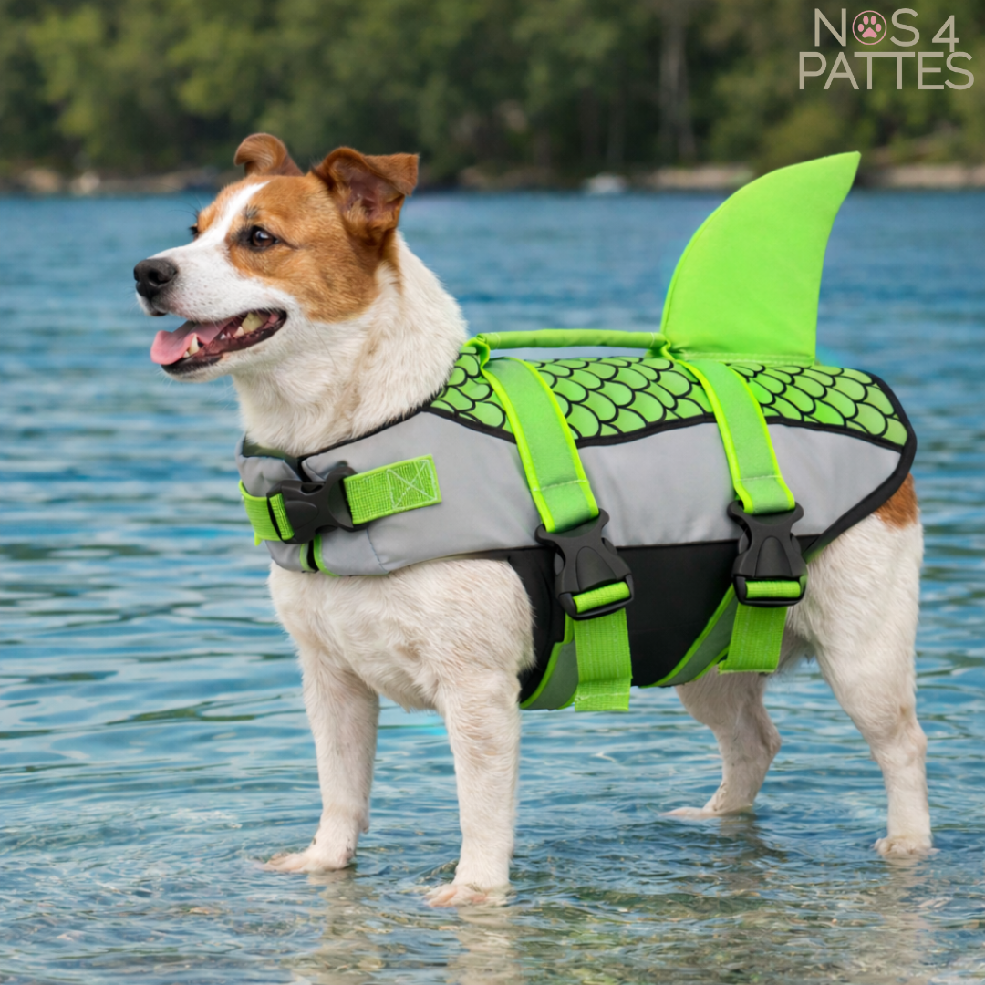 gilet vert 