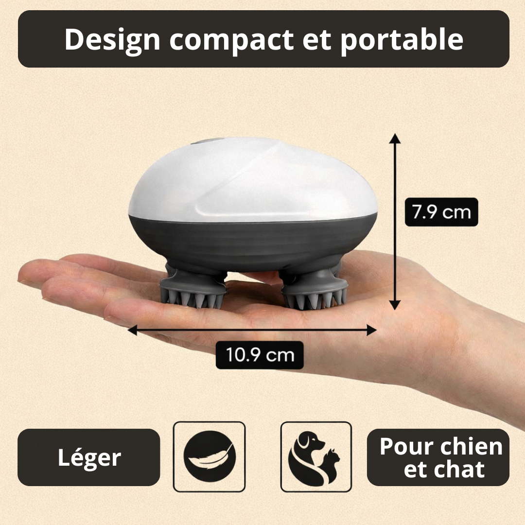 taille masseur