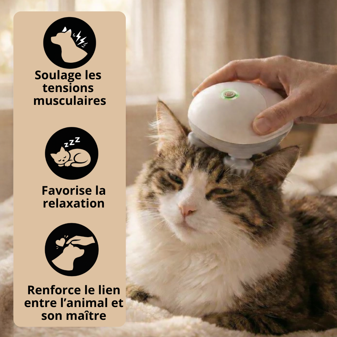 masseur nos 4 pattes chien et chat bienfaits