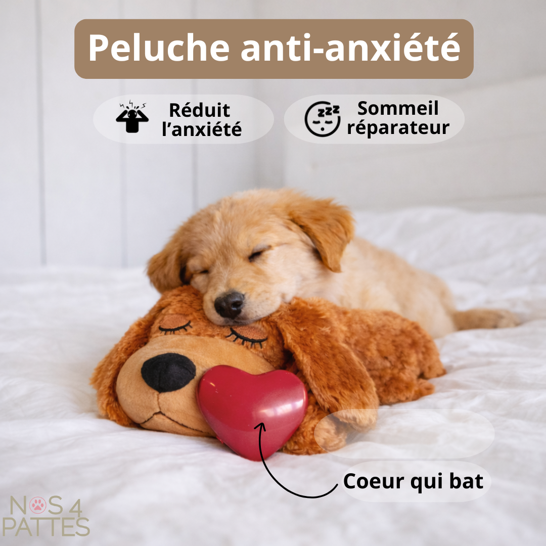 peluche anti stress nos4pattes