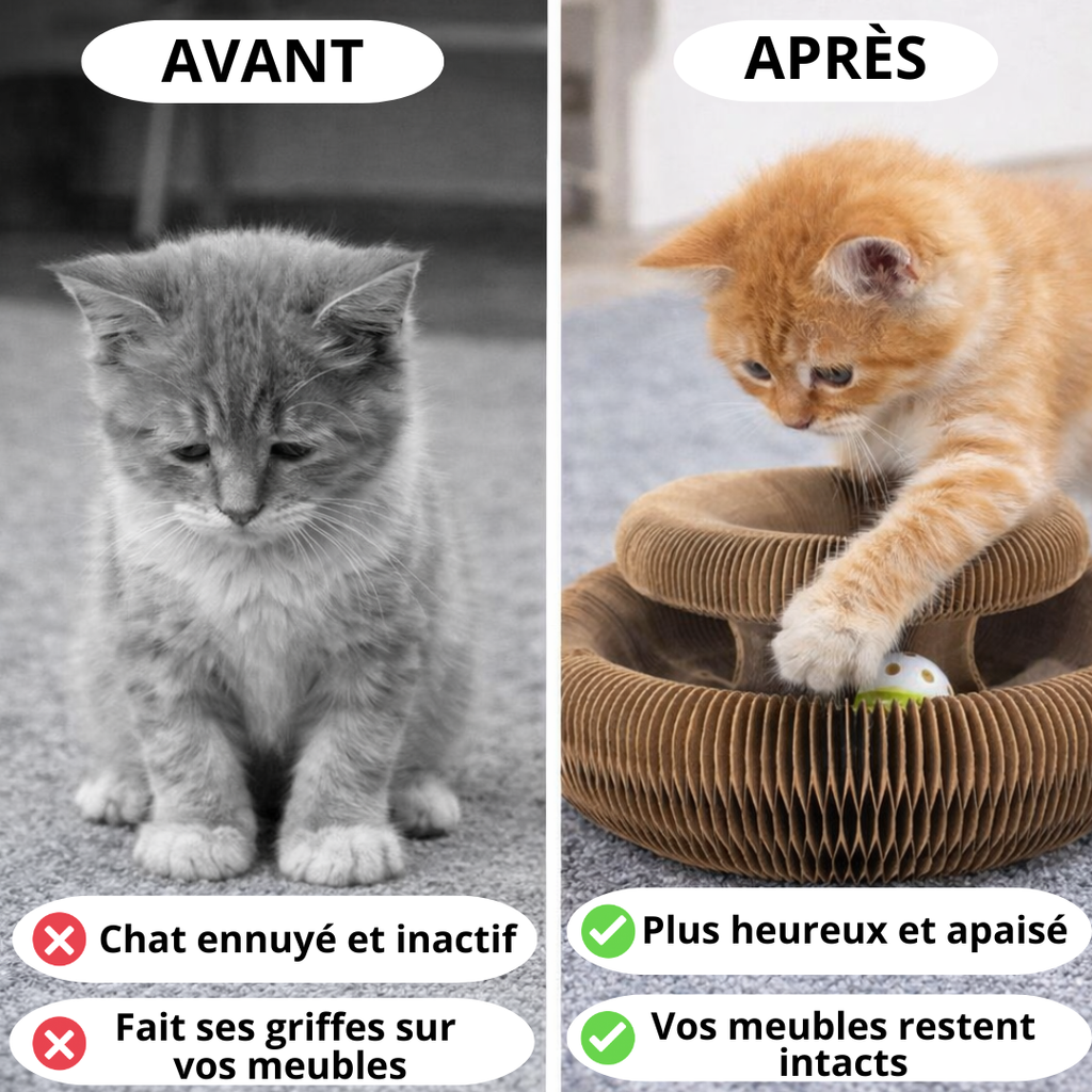 Jouet griffoir pour chat anti-griffures – Couchage cocon apaisant