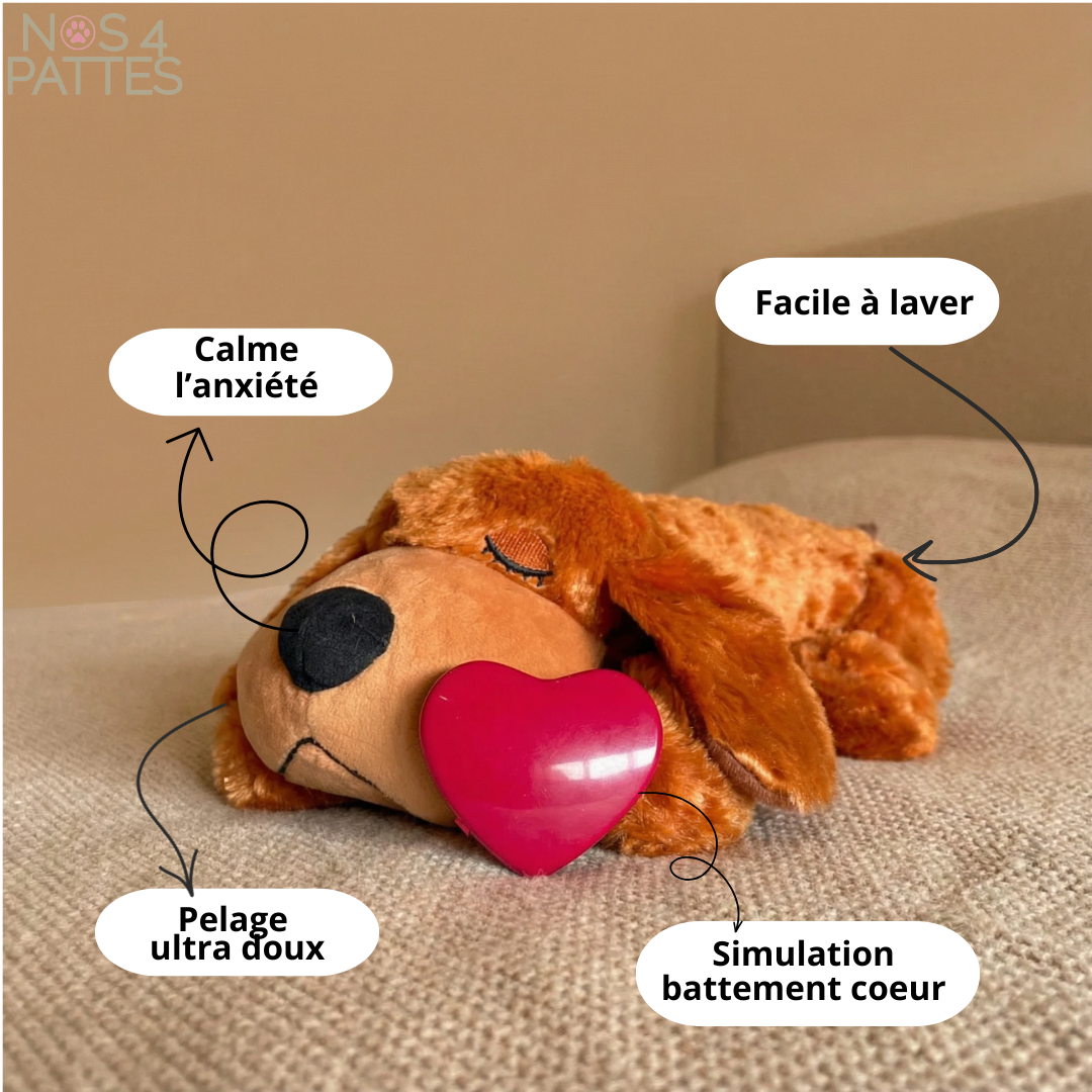 peluche anti stress  NOS 4 PATTES