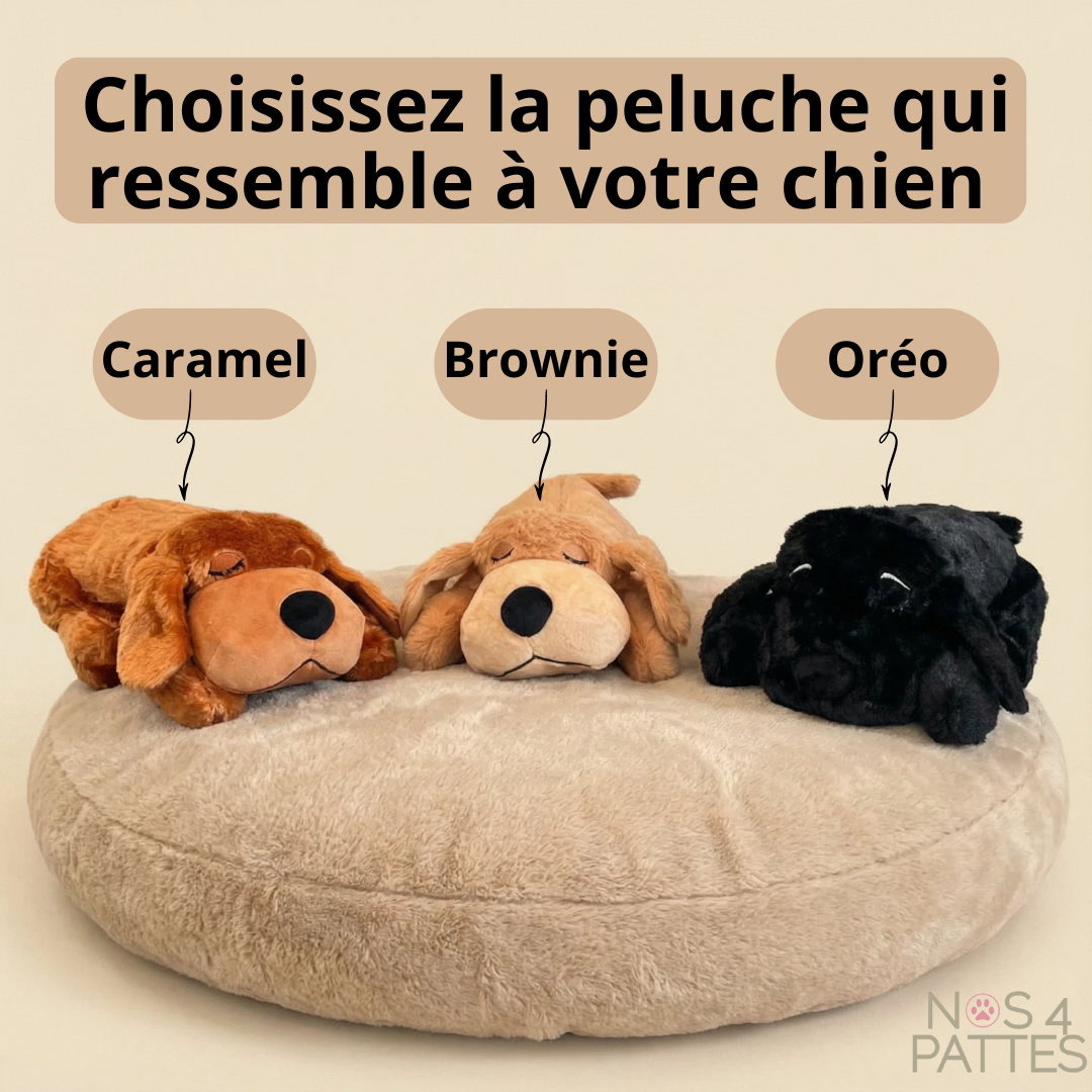 peluche anti stress  NOS 4 PATTES