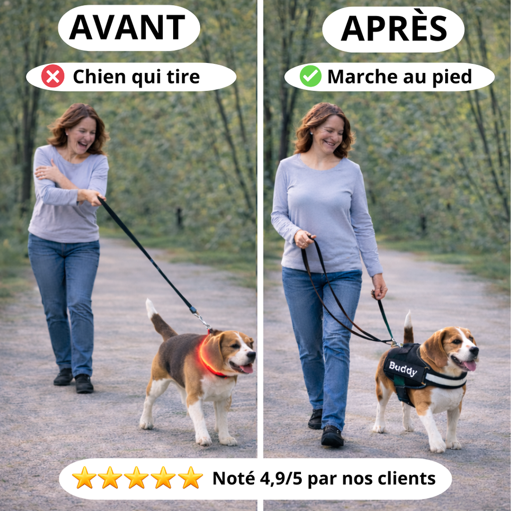 avant apres