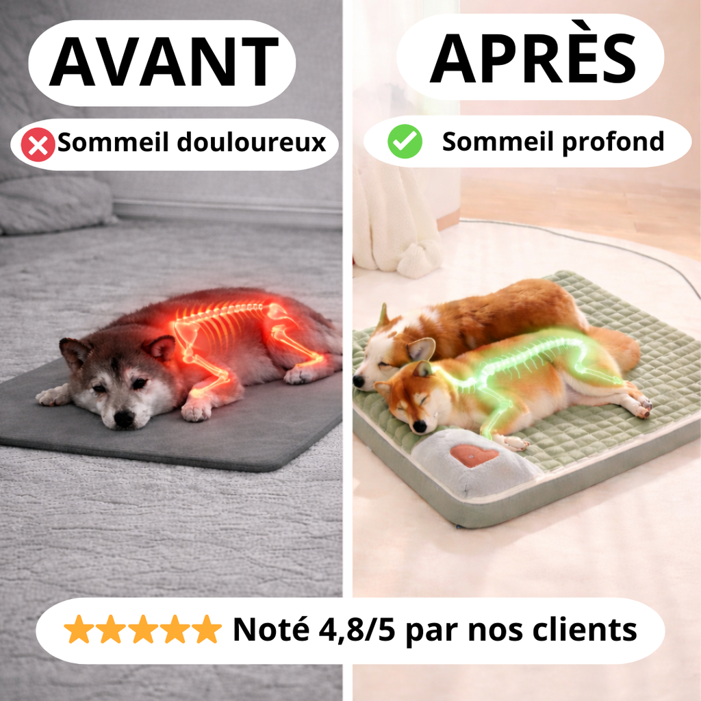 avant apres 