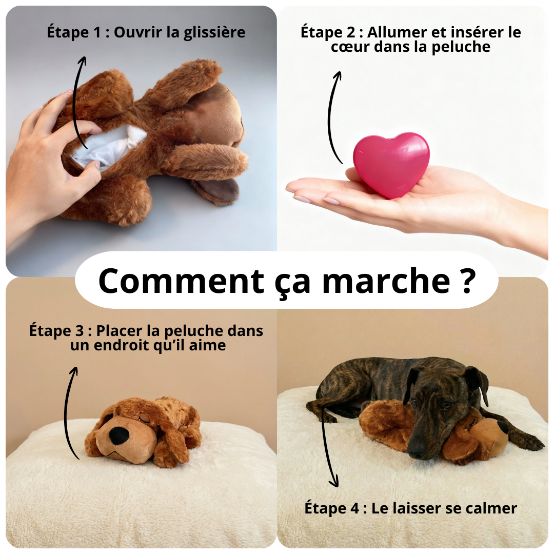 comment la peluche fonctionne