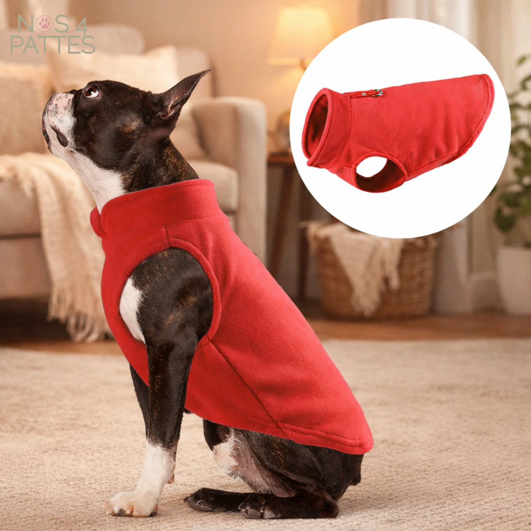 pull chien rouge nos 4 pattes