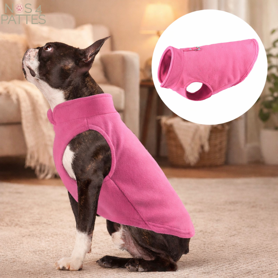 Pull chien NOS 4 PATTES