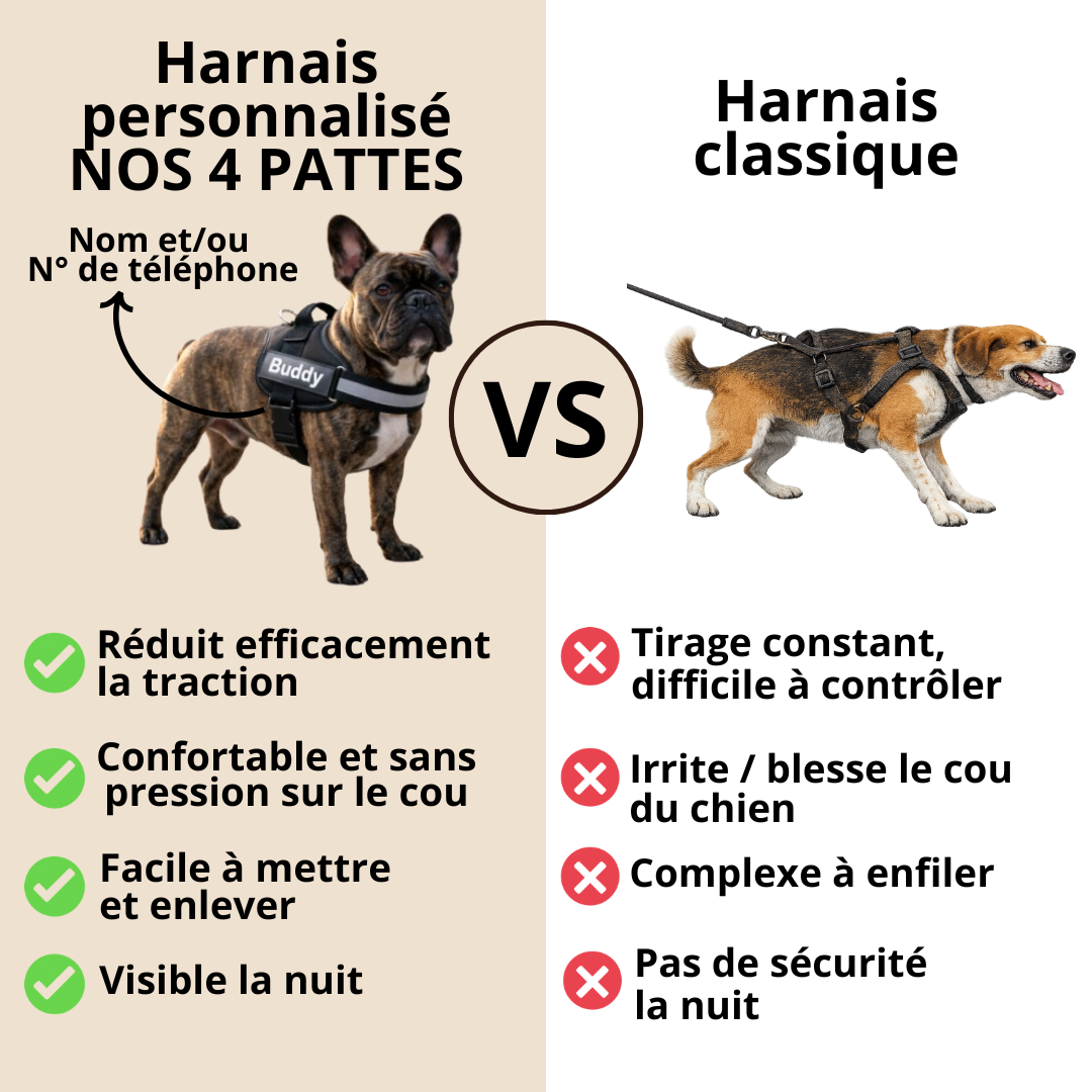 comparatif harnais 
