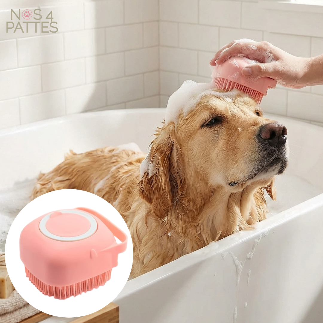 brosse bain chien nos 4 pattes